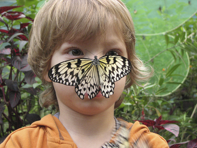 butterfly-face-kid