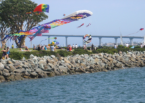 Seaport kites