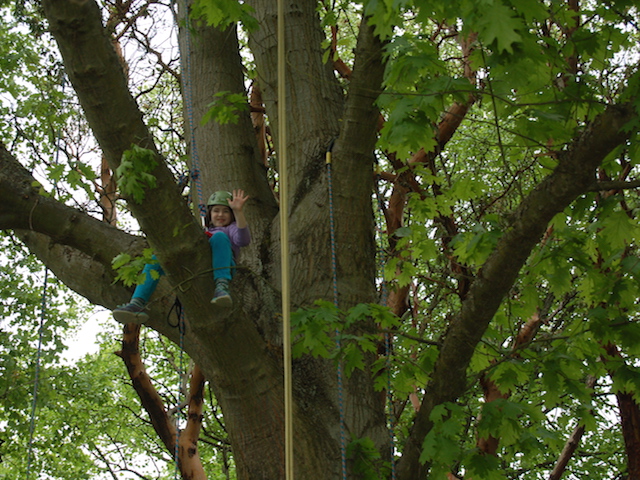 canopy.climbers.girl.tree