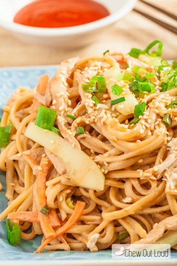 Asian-Cold-Sesame-Noodles-2