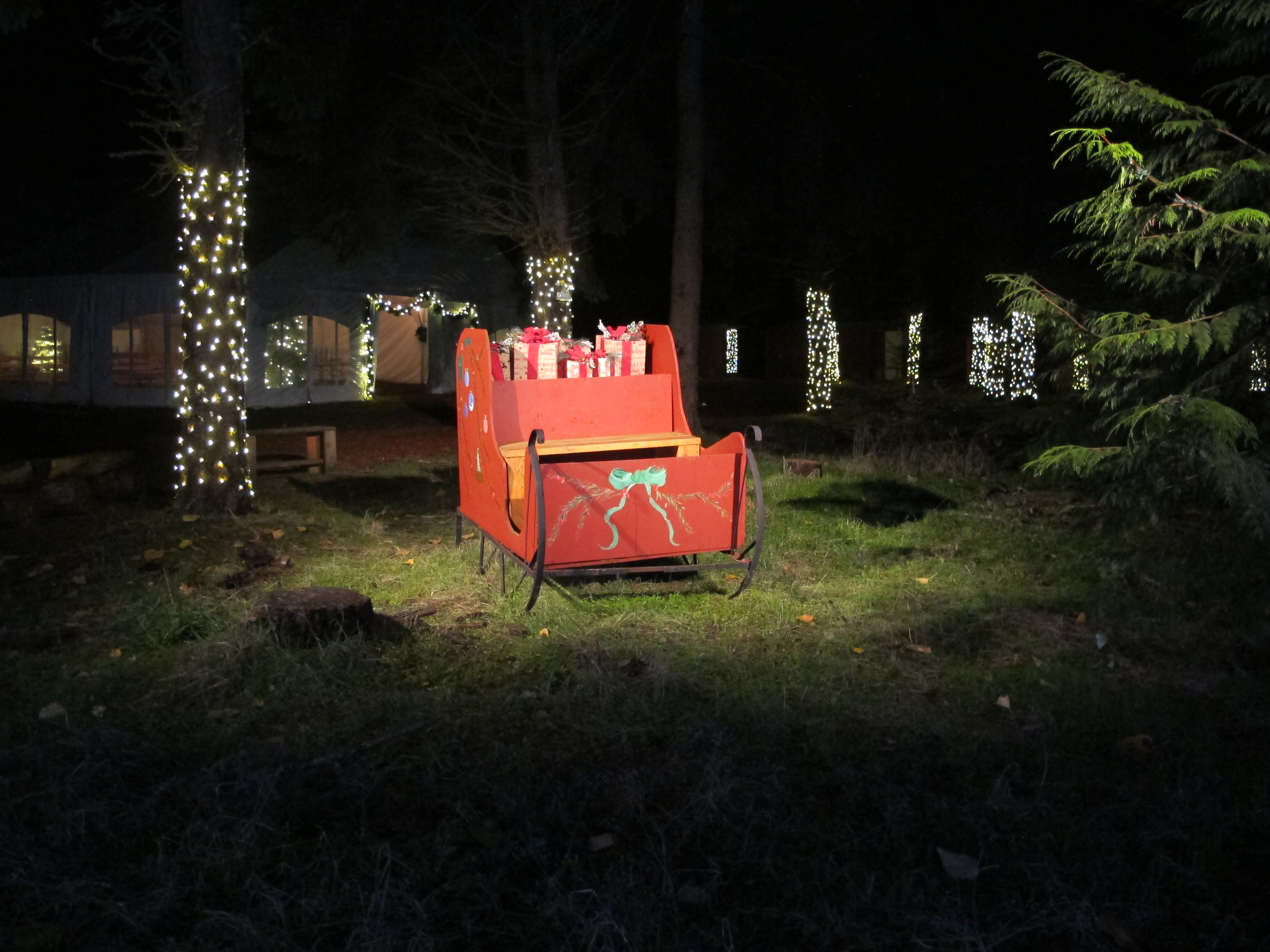 sleigh in lights