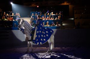 Medieval Times Knights 2