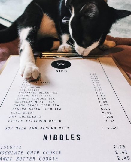menu-crumbs-and-whiskers