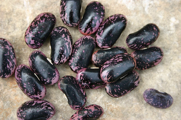 black-beans-rhonda-fleming-hayes-flickr
