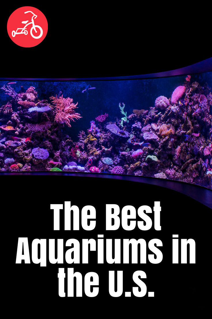 The Best Aquariums in the U.S.