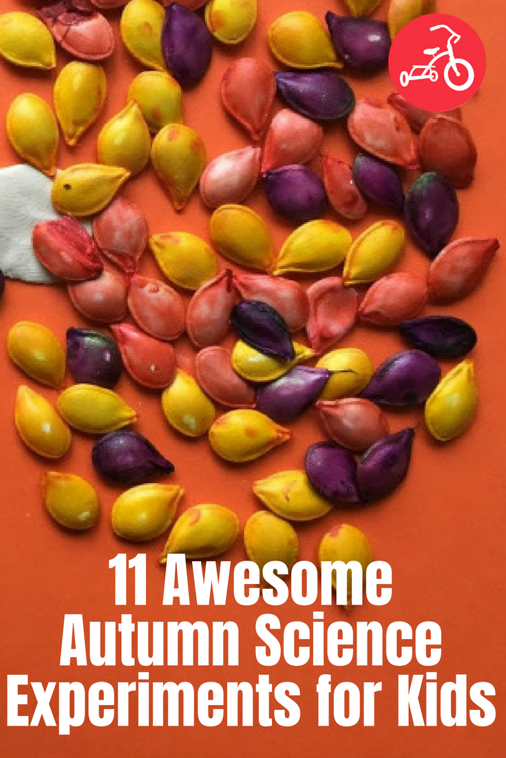 11 Awesome Autumn Science Experiments for Kids